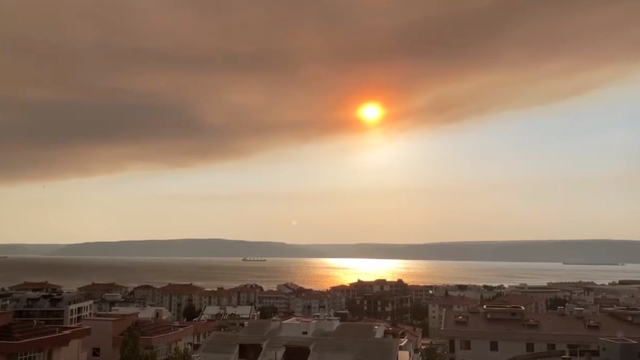 Tekirdağ'da orman yangını; alevler Çanakkale sınırına geçti (7)