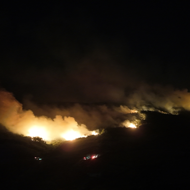 Tekirdağ'da çıkan orman yangını geniş alana yayıldı