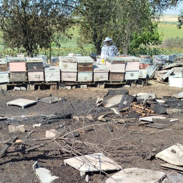 Tekirdağ'da anız yangınında 400 arı kovanı zarar gördü