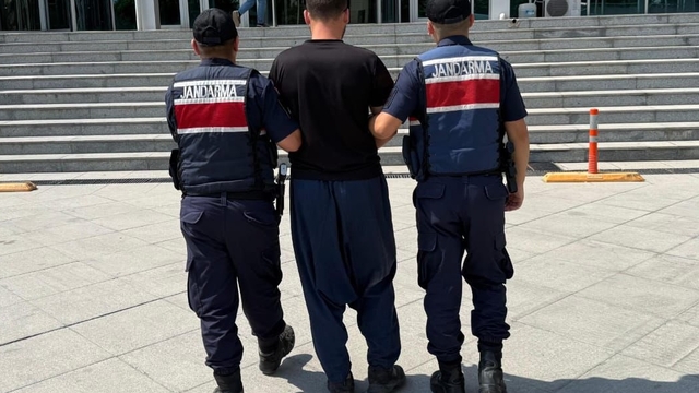 Mersin'de orman yangınıyla ilgili gözaltına alınan zanlı tutuklandı