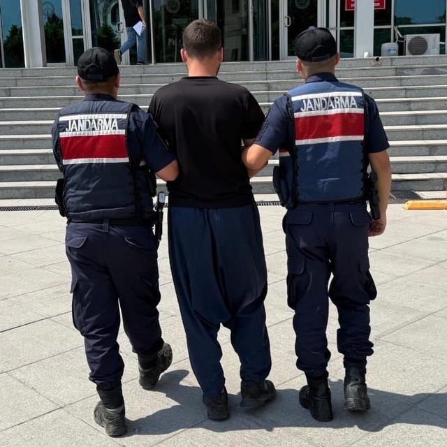 Mersin'de orman yangınıyla ilgili gözaltına alınan zanlı tutuklandı