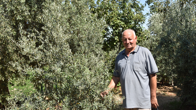 Bahçe sulama suyu kesilen emekli öğretmen, ağaçlarının kurumasından korkuyor