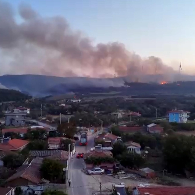Tekirdağ'daki orman yangını 2'nci gününde