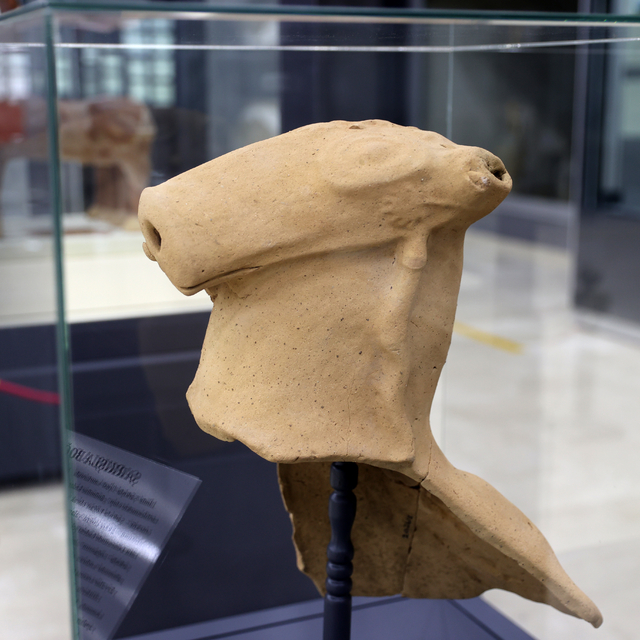 Kepçeye takılan Hitit dönemine ait boğa başlı testi parçası müzede sergilen...