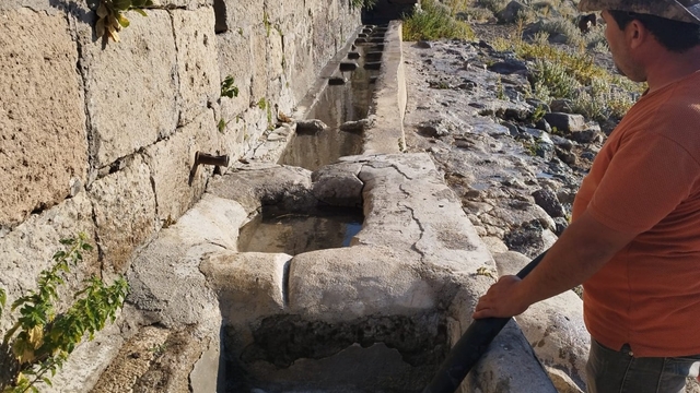 Karaman'da yılkı atları için tankerle su taşındı