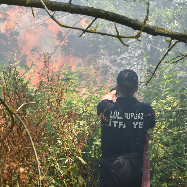 Kırklareli'nde ağaçlık alana sıçrayan ot yangını söndürüldü