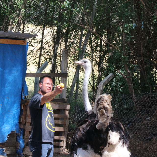 Yozgat'ta kafe işletmecisinin hayvan sevgisi çiftlik kurdurdu