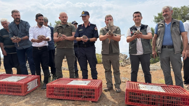 Adana'da 500 keklik doğaya salındı