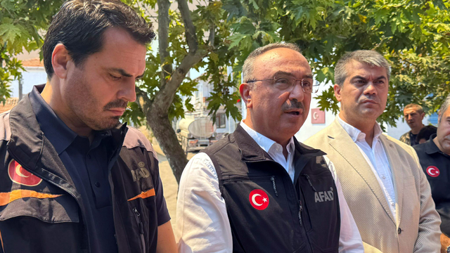 Tekirdağ'daki orman yangını 2'nci gününde (3)