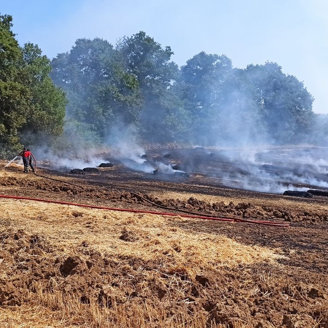 Kocaeli'de tarım arazisinde çıkan yangın ormanlık alana sıçramadan söndürül...