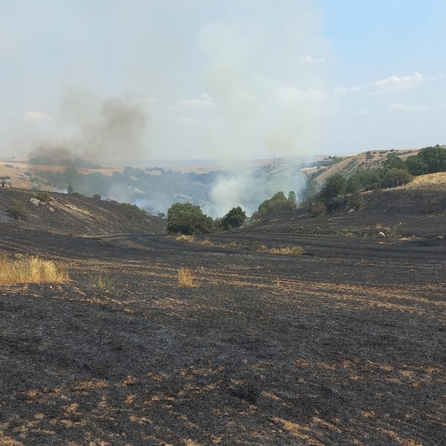 Eskişehir'de tarım arazisinden ormanlık alana sıçrayan yangın kontrol altın...