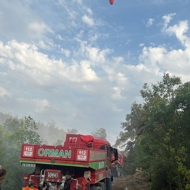 Bilecik'te çıkan örtü yangını kontrol altına alındı