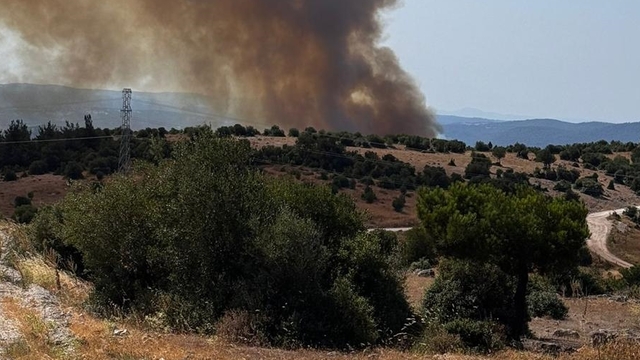 Balıkesir'de çıkan orman yangınına müdahale ediliyor