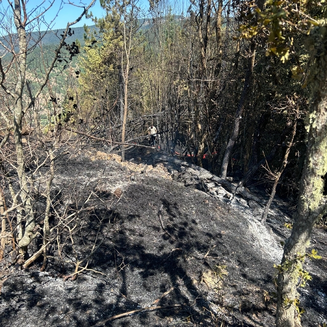 Kastamonu'da çıkan orman yangınında 2 dekar alan zarar gördü