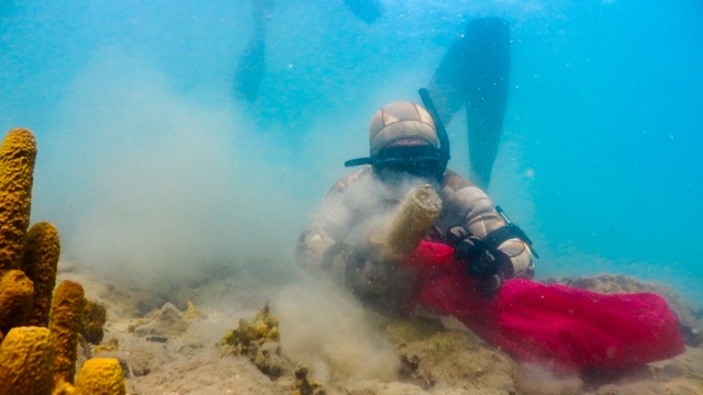 Bodrum'da gönüllü dalgıçlar deniz dibi temizliği yaptı