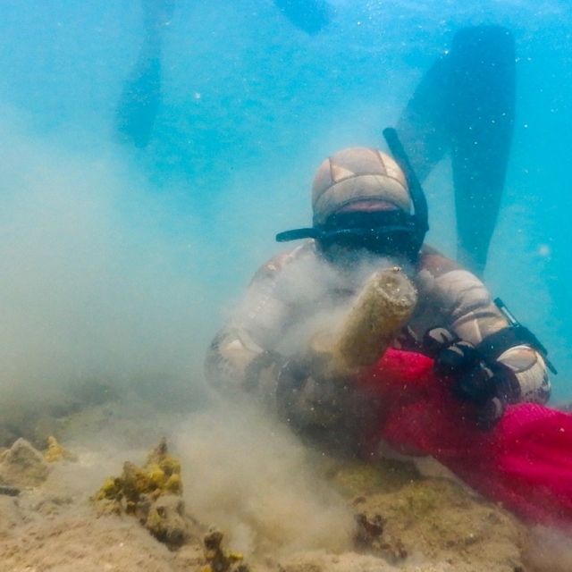 Bodrum'da gönüllü dalgıçlar deniz dibi temizliği yaptı