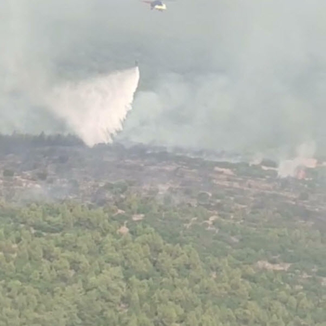 Muğla'da orman yangını