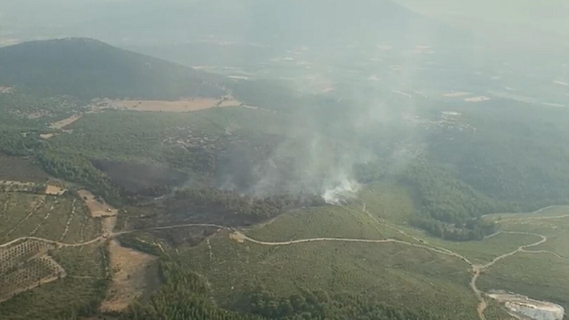 Muğla'da orman yangını (2)