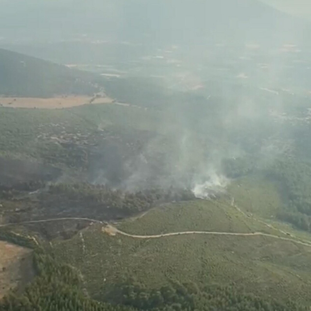 Muğla'da orman yangını (2)