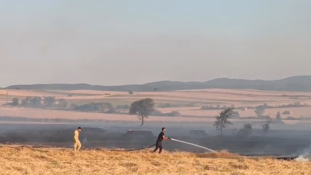 Tekirdağ'da çıkan anız yangını söndürüldü