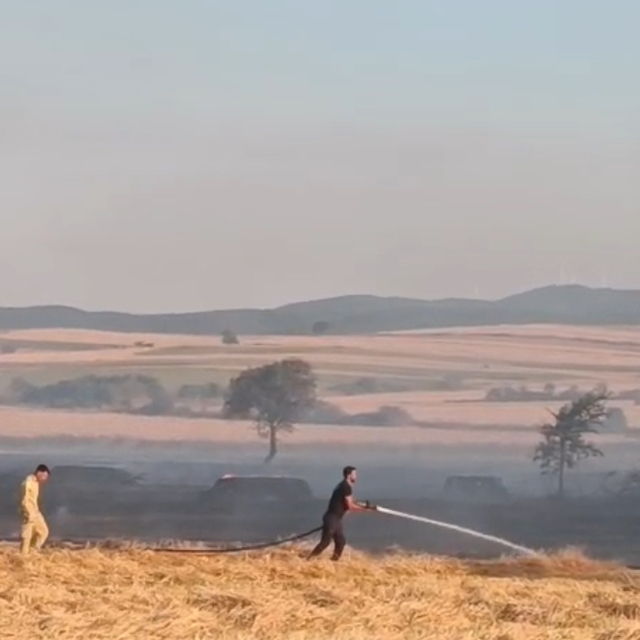 Tekirdağ'da çıkan anız yangını söndürüldü