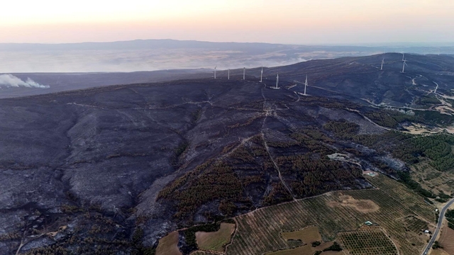 Tekirdağ'da orman yangınında 2'nci gün (5)