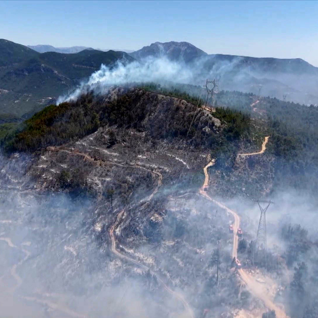 Yangın sadece ormanı değil, sağlığı da yakıyor