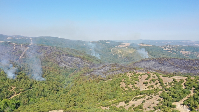 Balıkesir'deki orman yangınına müdahale sürüyor