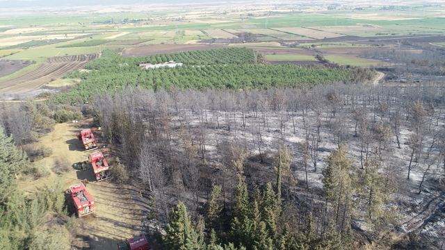 Tekirdağ'dan Çanakkale'ye sıçrayan yangında zarar gören alanlar dronla görüntülendi