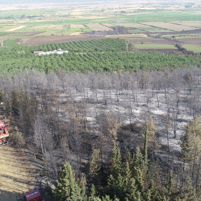 Tekirdağ'dan Çanakkale'ye sıçrayan yangında zarar gören alanlar dronla görü...