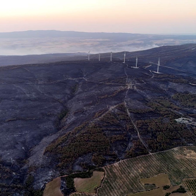 Tekirdağ'daki orman yangını kontrol altına alındı