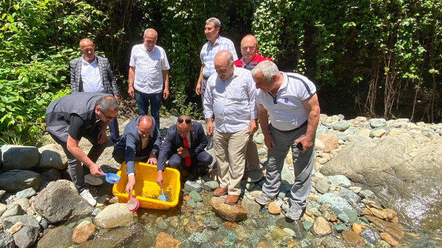 Trabzon'da 10 bin alabalık yavrusu Küçükdere Vadisi'ne bırakıldı