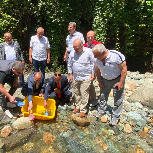 Trabzon'da 10 bin alabalık yavrusu Küçükdere Vadisi'ne bırakıldı