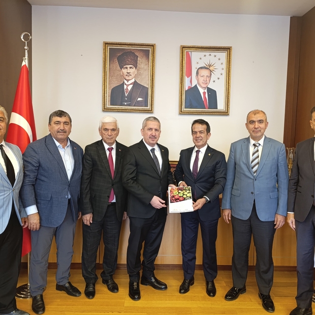 Antalya Tarım Konseyi yaş meyve sebze sektörü için rapor hazırladı