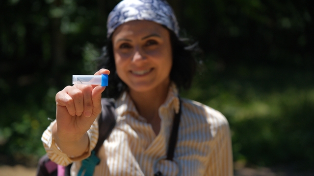 Kuzuyayla Tabiat Parkı'nın biyoçeşitlilik haritası çıkarıldı