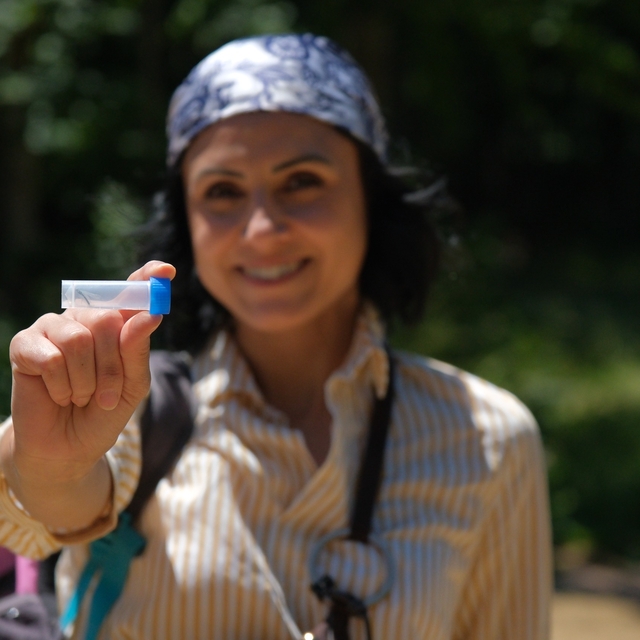 Kuzuyayla Tabiat Parkı'nın biyoçeşitlilik haritası çıkarıldı