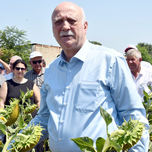 'Kuraklığın stresini ayçiçeği yüklenmiş durumda'
