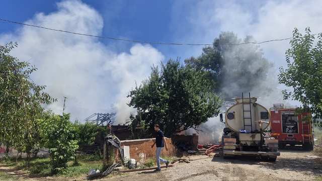 Tokat'ta çıkan yangında 7 büyükbaş hayvan öldü