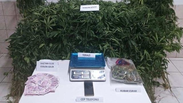 Sinop'ta uyuşturucu operasyonunda yakalanan 2 zanlıdan biri tutuklandı