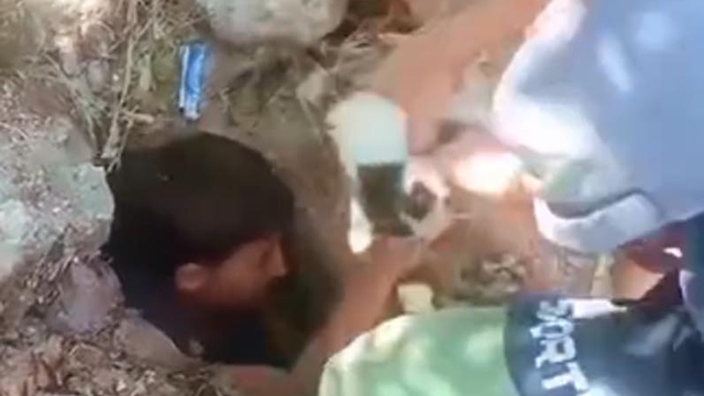 Mahsur kalan kediyi çocuklar kurtardı