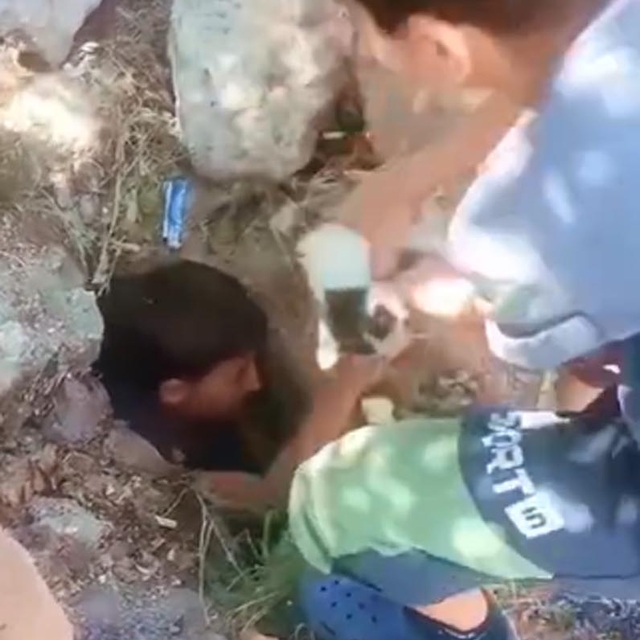 Mahsur kalan kediyi çocuklar kurtardı