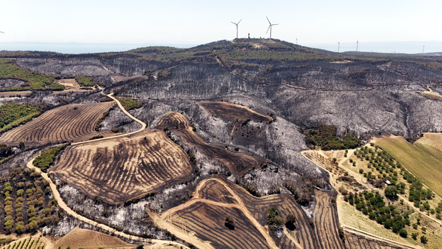Tekirdağ'daki orman yangınında zarar gören alanlar havadan görüntülendi