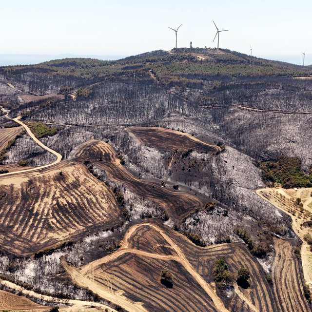Tekirdağ'daki orman yangınında zarar gören alanlar havadan görüntülendi