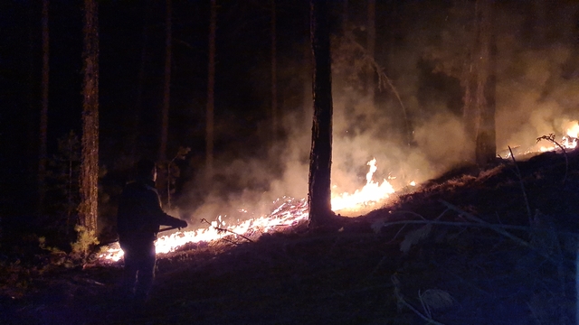 Kütahya'da çıkan orman yangını, köylüler ve orman personeli işbirliğiyle büyümeden söndürüldü