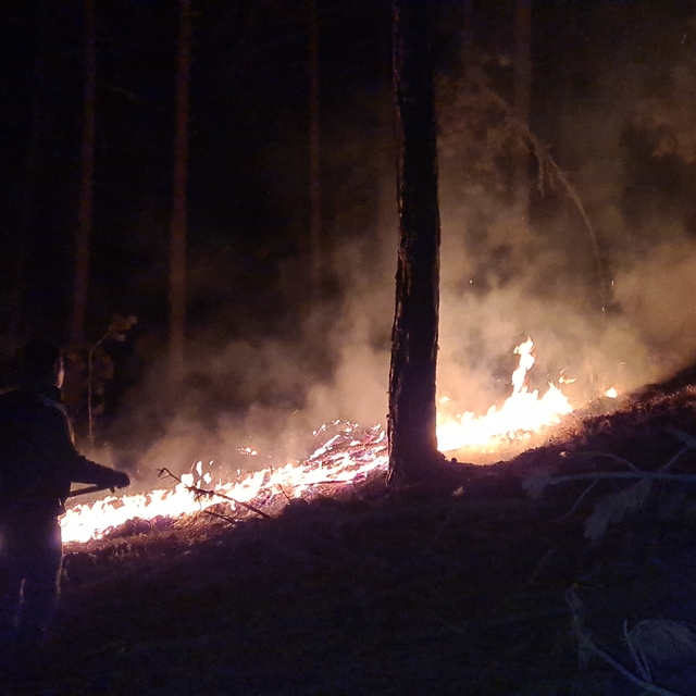 Kütahya'da çıkan orman yangını, köylüler ve orman personeli işbirliğiyle bü...
