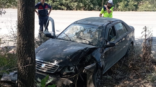 Ağaca çarpan otomobildeki 2 kişi yaralandı