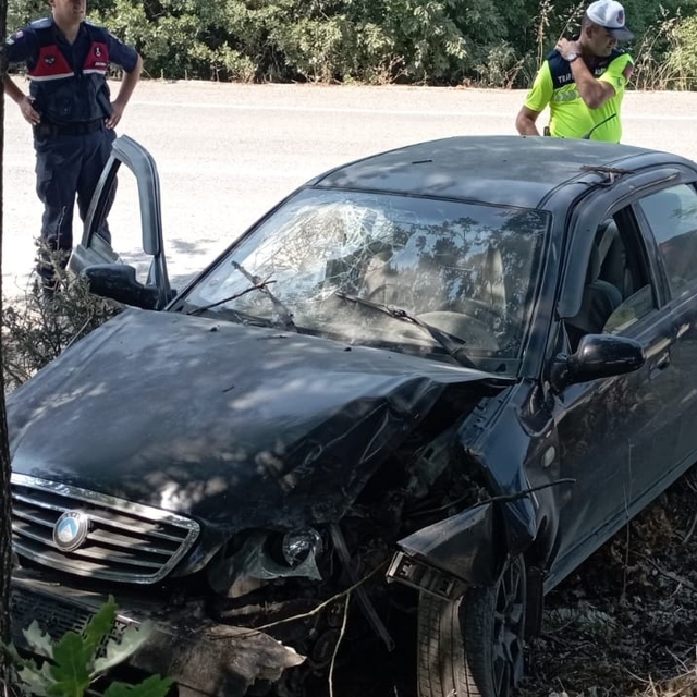 Ağaca çarpan otomobildeki 2 kişi yaralandı