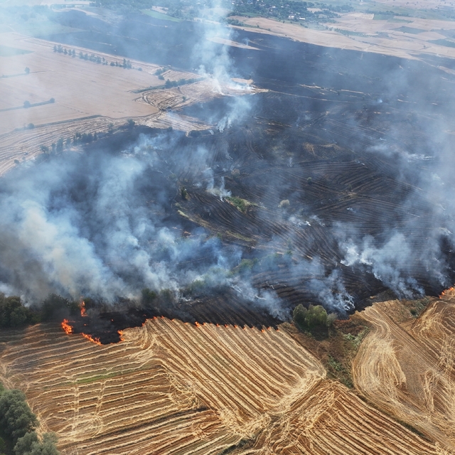 Buğday ekili arazide yangın; 250 dekar alan zarar gördü