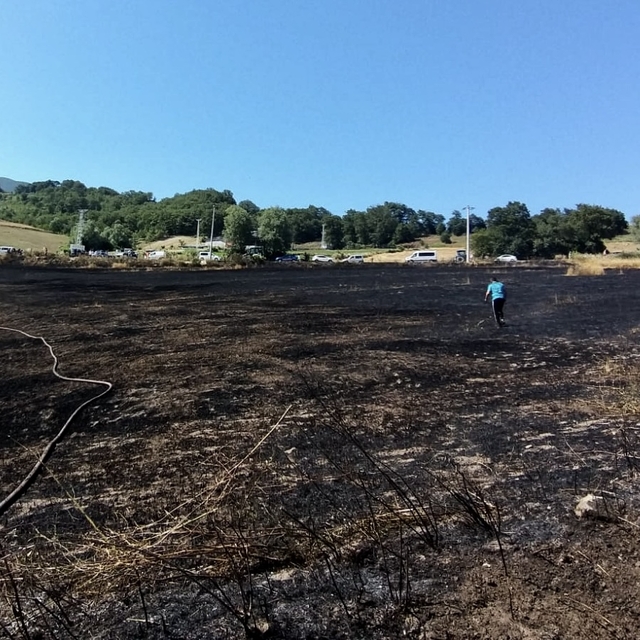 Samsun'da tarım arazisinde çıkan yangında 16 dönüm alan zarar gördü