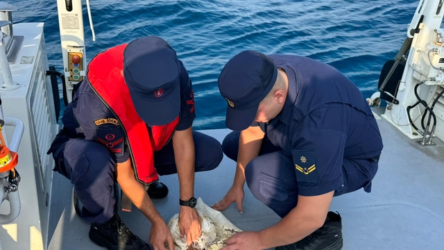 Antalya'da çuvala takılan deniz kaplumbağasını sahil güvenlik kurtardı